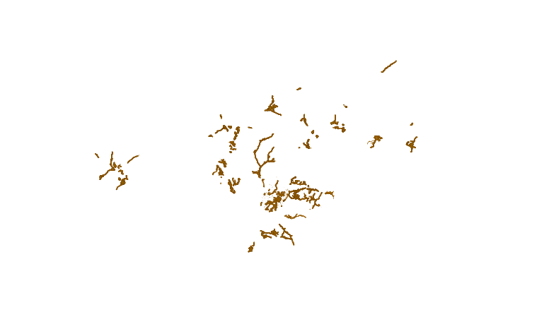 https://geoservices3.civis.bz.it/geoserver/gvcc-Infrastructures/ows?SERVICE=WMS&VERSION=1.1.1&REQUEST=GetMap&FORMAT=image/png&TRANSPARENT=true&LAYERS=Sewerage-Pipes&exceptions=application/vnd.ogc.se_inimage&SRS=EPSG:25832&STYLES=&WIDTH=769&HEIGHT=476&BBOX=568665.6809273337,5097834.342663296,803217.3688715831,5243207.524253741